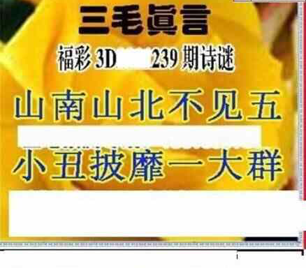 23239期: 三毛3D精品图谜