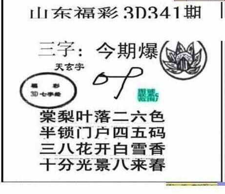 22341期: 三毛3D精品图谜