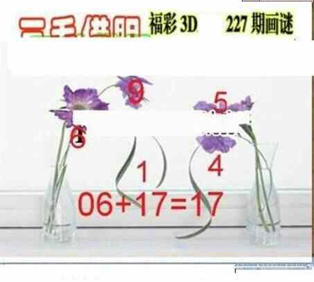 23227期: 三毛3D精品图谜