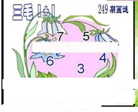 23249期: 三毛3D精品图谜