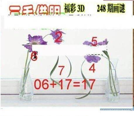 23248期: 三毛3D精品图谜