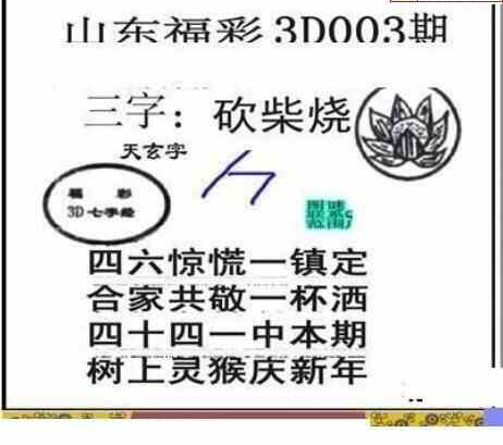 24003期: 三毛3D精品图谜