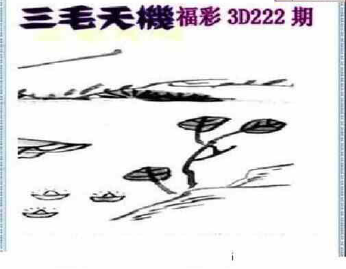 23222期: 三毛3D精品图谜