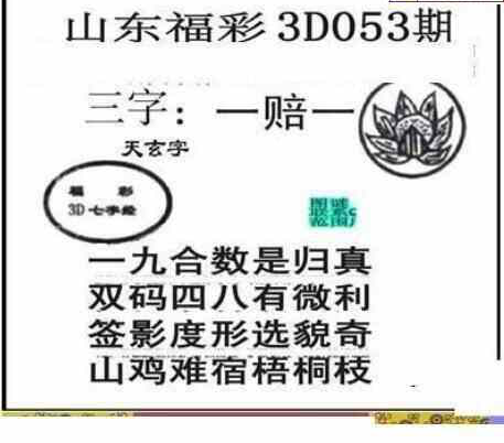 23053期: 三毛3D精品图谜