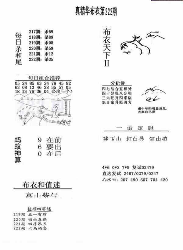 23222期: 福彩3D全套图版参考