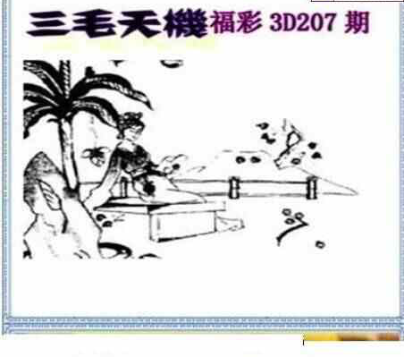 23207期: 三毛3D精品图谜