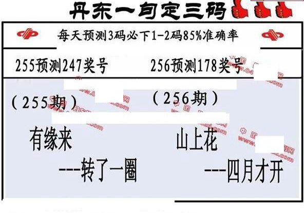 23256期: 福彩3D丹东全图分析