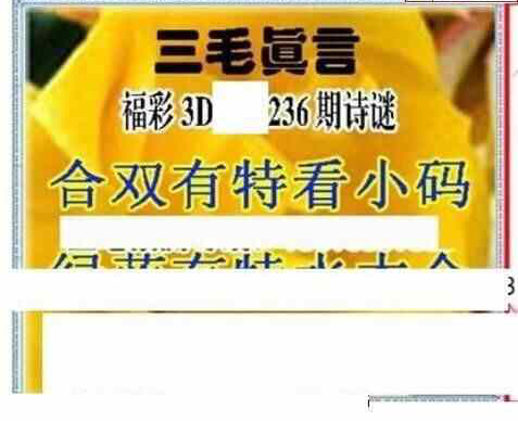 23236期: 三毛3D精品图谜