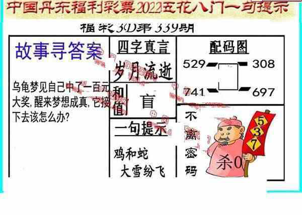 丹东图22339期丹东3D全图先锋快报