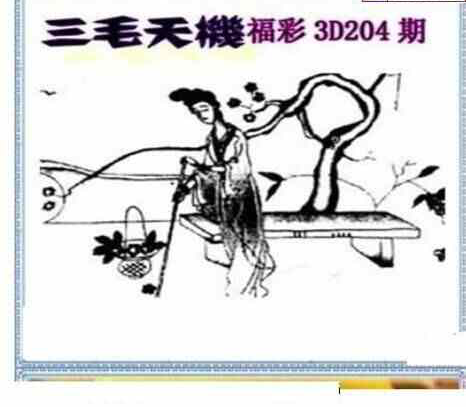 23204期: 三毛3D精品图谜