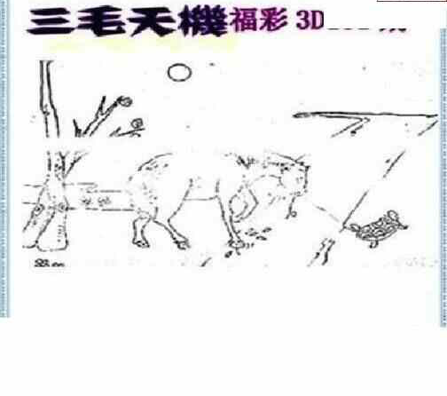 23131期: 三毛3D精品图谜