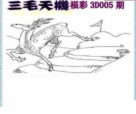 23005期: 三毛3D精品图谜