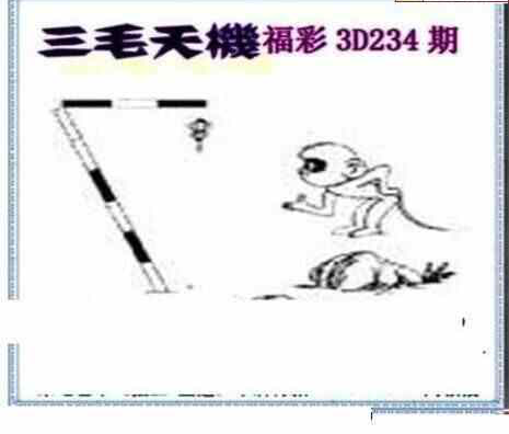 23234期: 三毛3D精品图谜