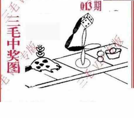 24013期: 三毛3D精品图谜