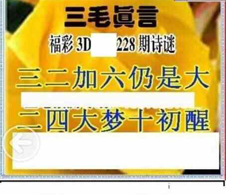 23228期: 三毛3D精品图谜