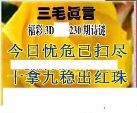 23230期: 三毛3D精品图谜