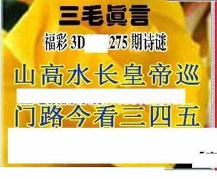 23275期: 三毛3D精品图谜