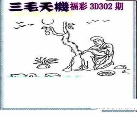 23302期: 三毛3D精品图谜