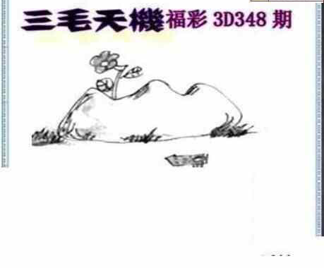 23348期: 三毛3D精品图谜