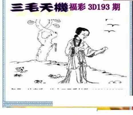 23193期: 三毛3D精品图谜