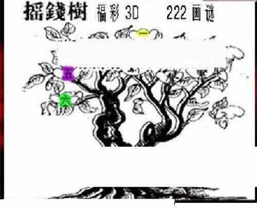 23222期: 三毛3D精品图谜