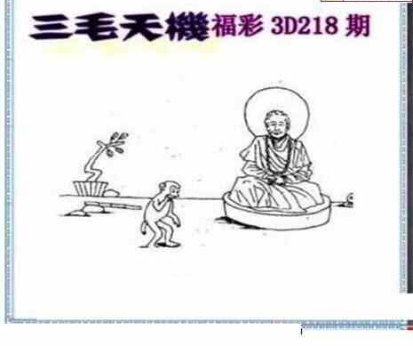 23218期: 三毛3D精品图谜