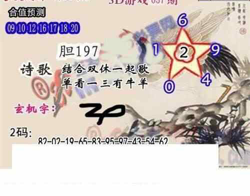 24057期: 白老3D杀码图版