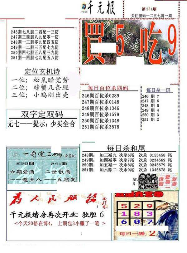 23251期: 福彩3D全套图版参考