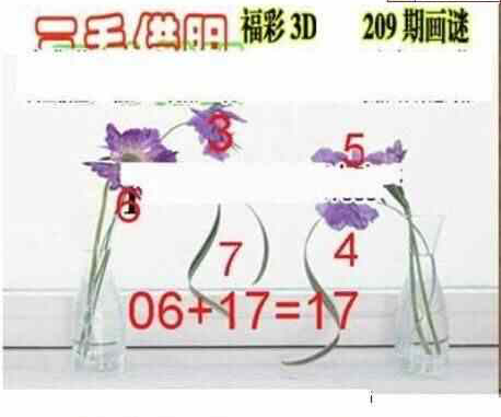 23209期: 三毛3D精品图谜