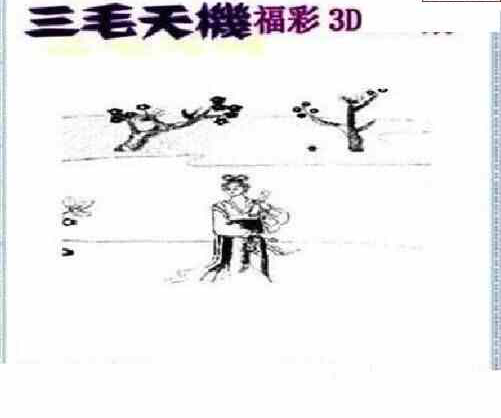 23130期: 三毛3D精品图谜