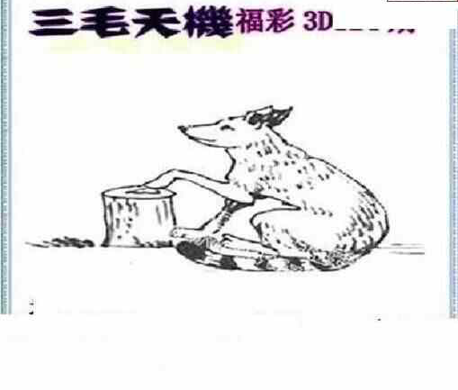 23124期: 三毛3D精品图谜