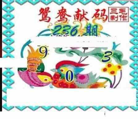 23236期: 三毛3D精品图谜