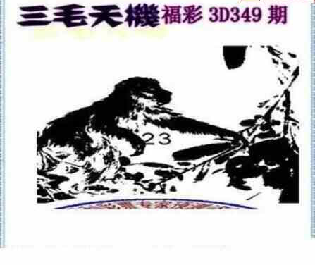 22349期: 三毛3D精品图谜