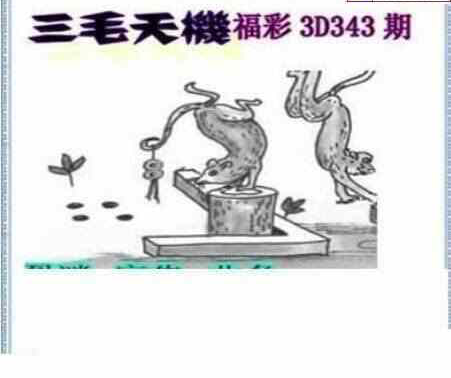 22343期: 三毛3D精品图谜