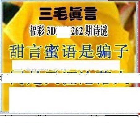 23262期: 三毛3D精品图谜