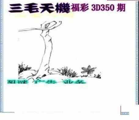 23350期: 三毛3D精品图谜