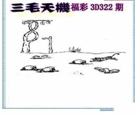 23322期: 三毛3D精品图谜