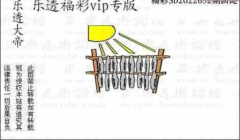 23052期: 3D蝴蝶世家蝴蝶彩图