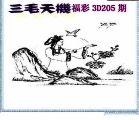 23205期: 三毛3D精品图谜