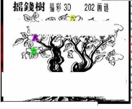 23202期: 三毛3D精品图谜