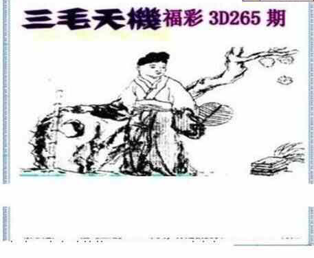 23265期: 三毛3D精品图谜