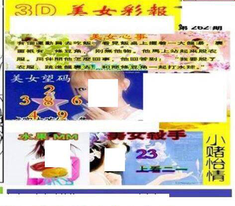 23262期: 三毛3D精品图谜