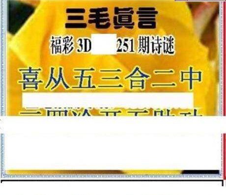 23251期: 三毛3D精品图谜