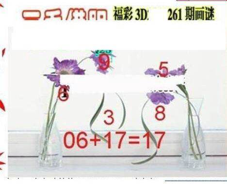 23261期: 三毛3D精品图谜