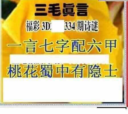 23334期: 三毛3D精品图谜