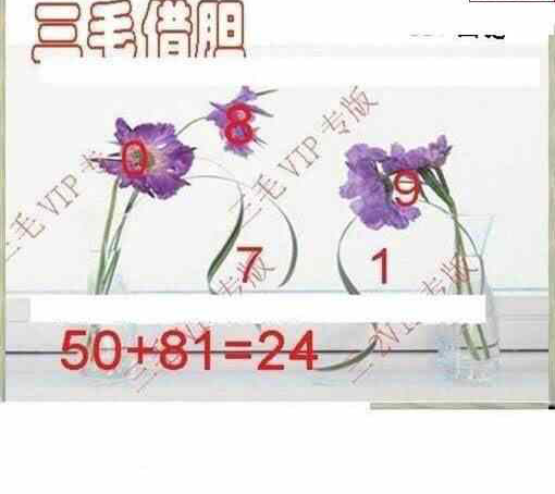 23127期: 三毛3D精品图谜