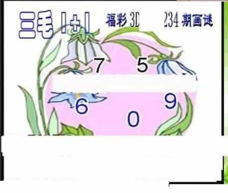 23234期: 三毛3D精品图谜