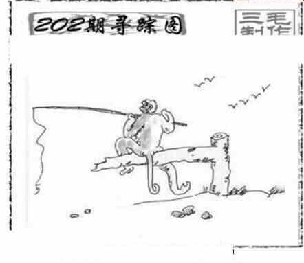 23202期: 三毛3D精品图谜