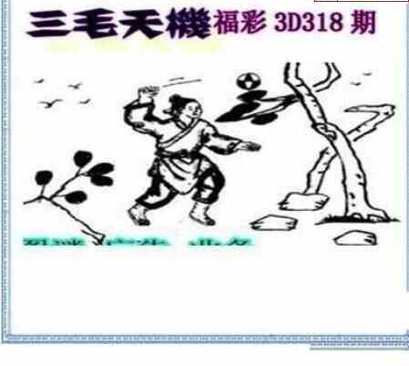 23318期: 三毛3D精品图谜