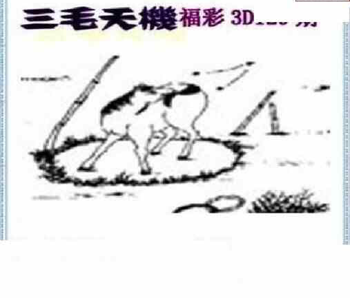 23129期: 三毛3D精品图谜